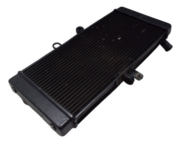 Radiador C/ Detalhes Suzuki Gsx Bandit 650n 09-11 Original