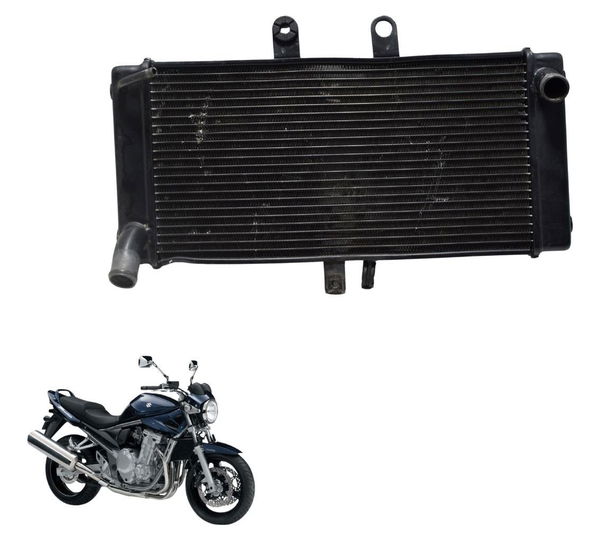 Radiador C/ Detalhes Suzuki Gsx Bandit 650n 09-11 Original