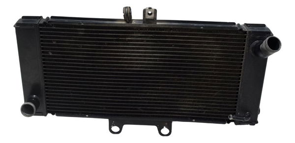 Radiador Suzuki Gsx Bandit 650n 09-11 Original