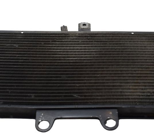 Radiador Suzuki Gsx Bandit 650n 09-11 Original