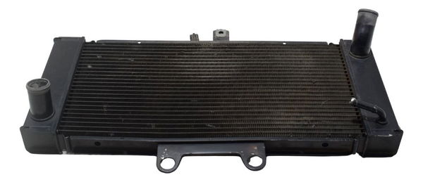 Radiador Suzuki Gsx Bandit 650n 09-11 Original