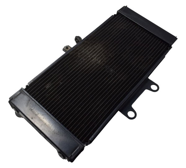 Radiador Suzuki Gsx Bandit 650n 09-11 Original