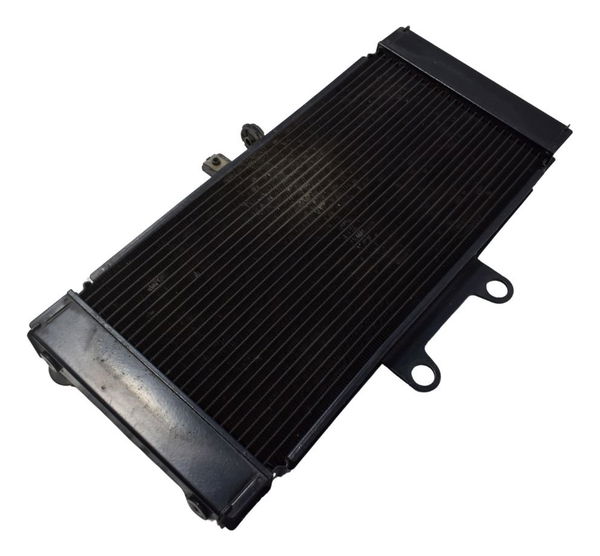 Radiador Suzuki Gsx Bandit 650n 09-11 Original