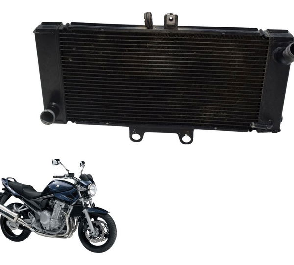 Radiador Suzuki Gsx Bandit 650n 09-11 Original