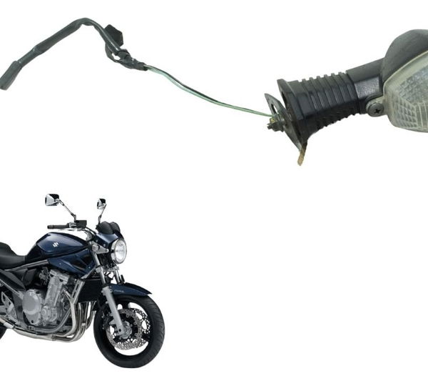 Pisca Traseiro Direito Suzuki Gsx Bandit 650n 09-11 Original Direito