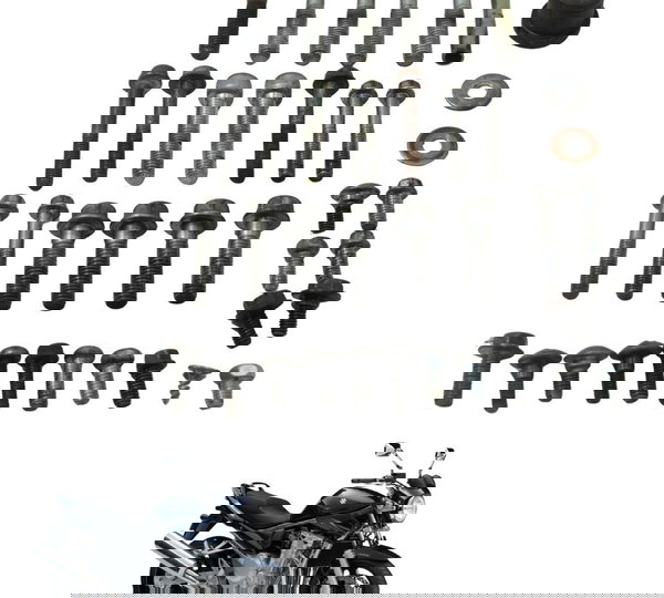 Kit Parafusos Diversos Suzuki Gsx Bandit 650n 09-11 Original