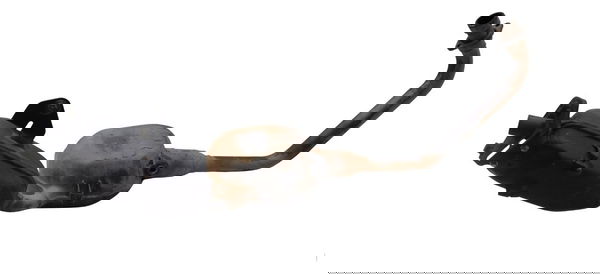 Escapamento C/detalhes Honda Cb 300f Twister 23-24 Original Escapamento C/detalhes Honda Cb 300f Twister 23-24 Original