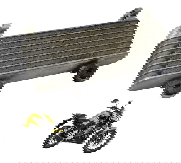 Radiador Honda Cb 300f Twister 23-24 Original