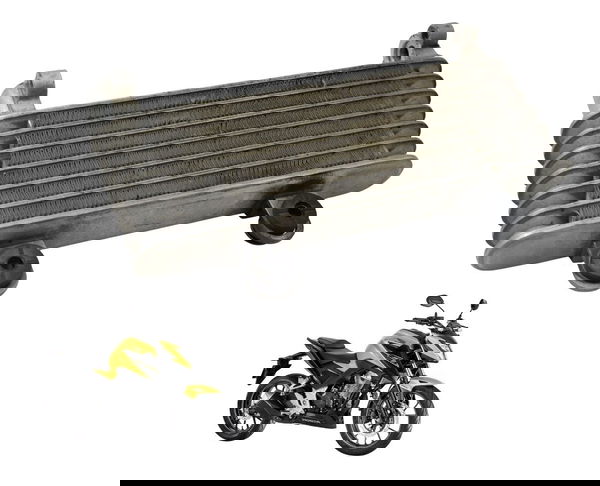 Radiador Honda Cb 300f Twister 23-24 Original