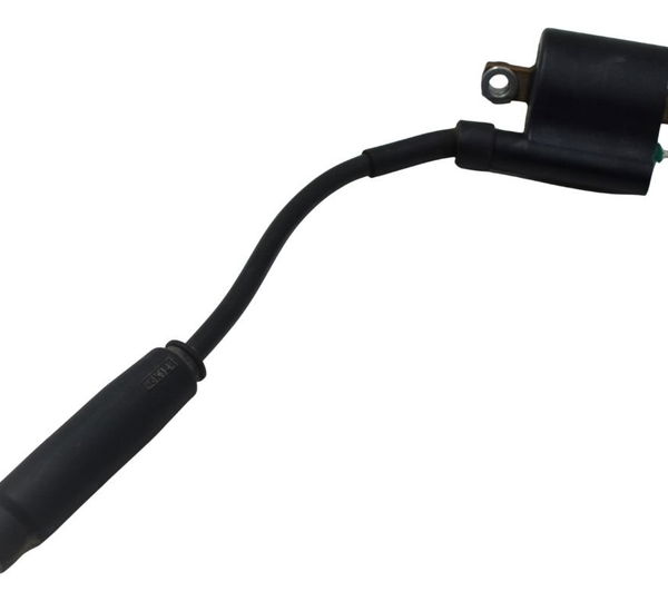 Bobina Ignição Honda Cb 300f Twister 23-24 Original