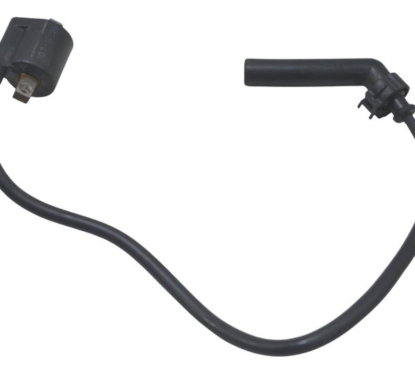 Bobina Ignição C/ Cachimbo Yamaha Xvs 950 Midnight 09-16