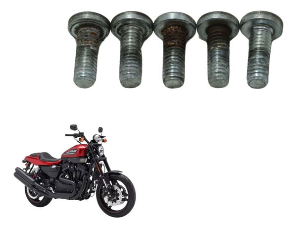 Jogo Parafuso Disco Freio Diant Harley Xr 1200 12-13 Origina