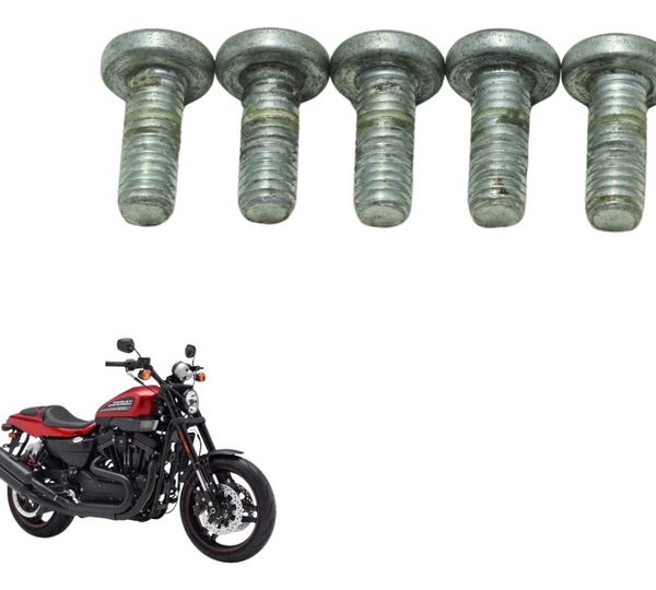 Jogo Parafuso Freio Traseiro Harley Xr 1200 12-13 Original