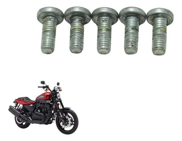 Jogo Parafuso Freio Traseiro Harley Xr 1200 12-13 Original