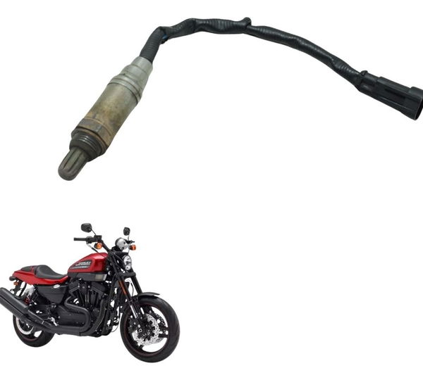 Sonda Lambda Harley Xr 1200 12-13 Original