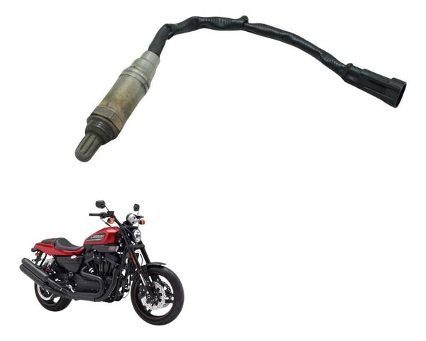 Sonda Lambda Harley Xr 1200 12-13 Original