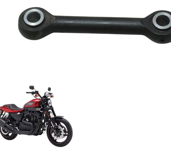 Eixo Suporte Motor Harley Xr 1200 12-13 Original