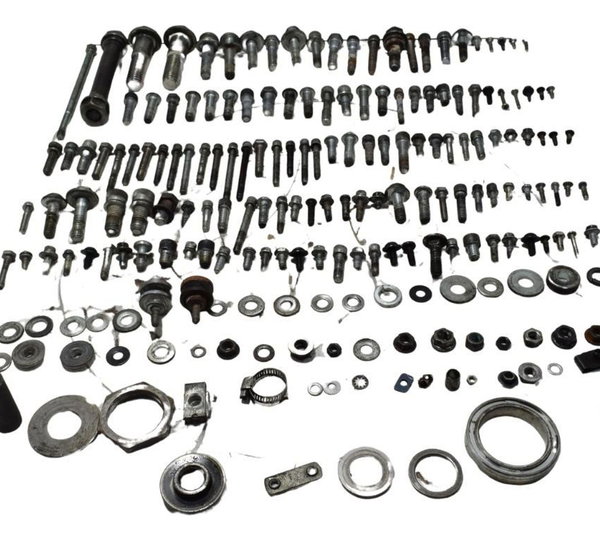 Kit Parafusos Diversos Harley Xr 1200 12-13 Original