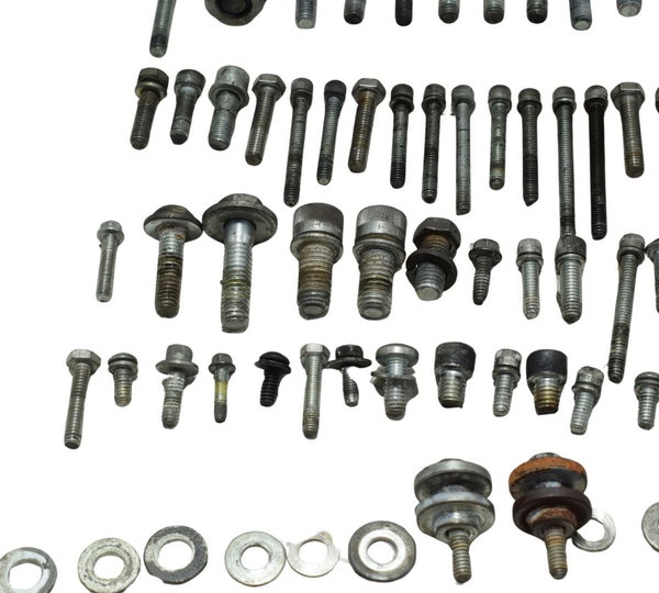 Kit Parafusos Diversos Harley Xr 1200 12-13 Original