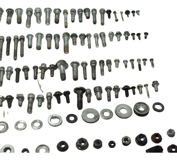 Kit Parafusos Diversos Harley Xr 1200 12-13 Original