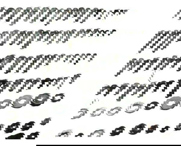 Kit Parafusos Diversos Harley Xr 1200 12-13 Original