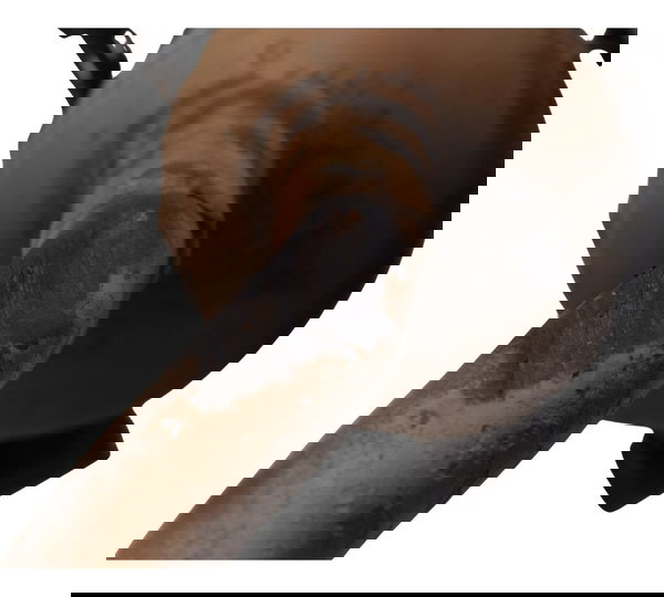 Escapamento C/ Detalhes Honda Pcx 150 14-15 Original