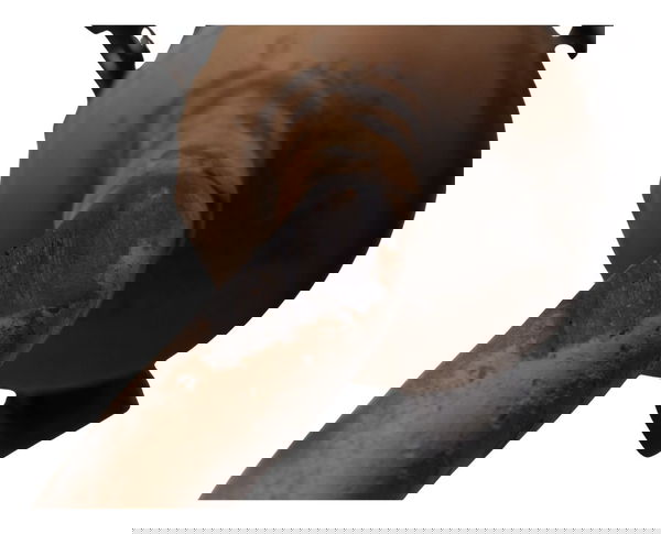 Escapamento C/ Detalhes Honda Pcx 150 14-15 Original