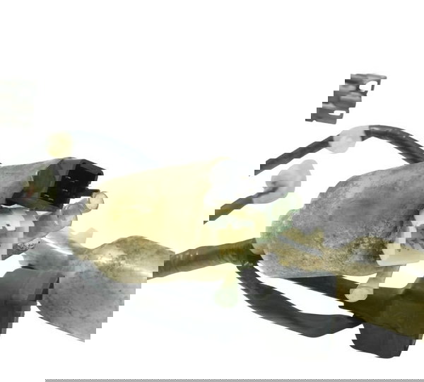 Chicote Principal Honda Pcx 150 14-15 Original