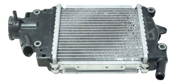 Radiador Honda Pcx 150 14-15 Original