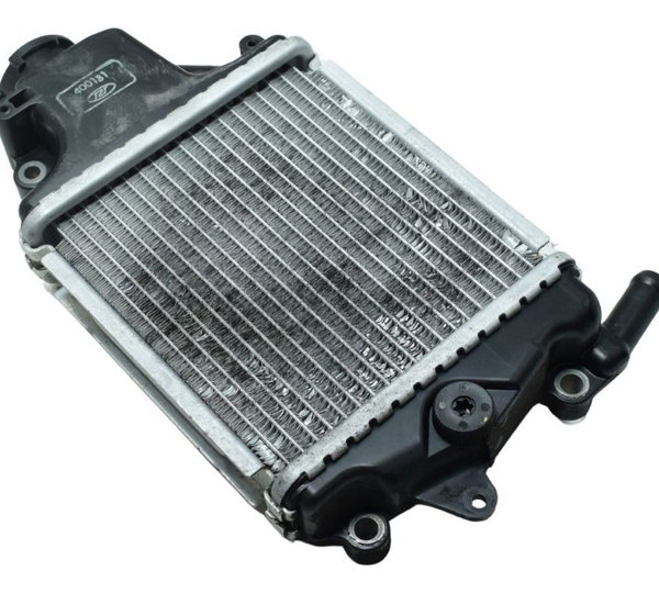 Radiador Honda Pcx 150 14-15 Original