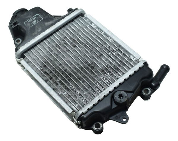 Radiador Honda Pcx 150 14-15 Original