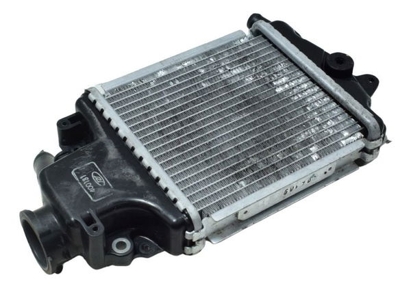 Radiador Honda Pcx 150 14-15 Original