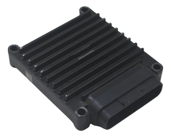 Módulo Principal Ecu Harley Softail Fat Boy 11-15 Original