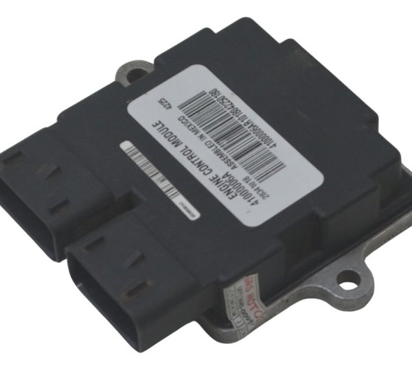 Módulo Ecm Harley Softail Fat Boy 11-15 Original