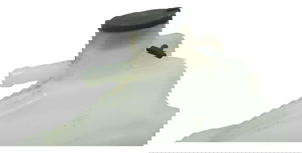 Reservatório Água Bmw C-650 C 650 Gt 2014 Original