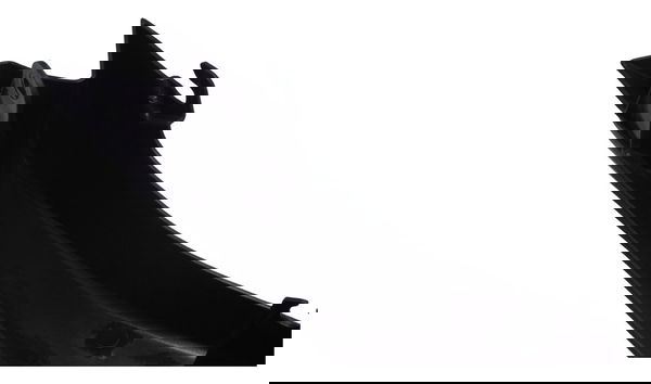 Carenagem Tampa Lateral Dir Yamaha Xtz 250 Lander 19-23 Orig