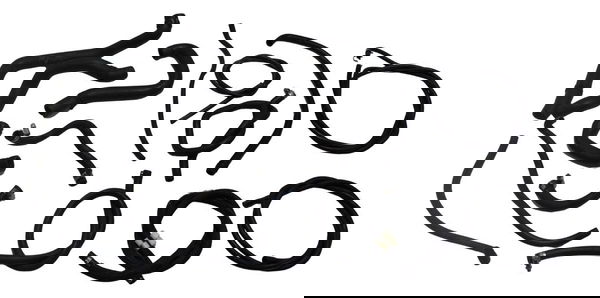 Jogo Mangueiras Bmw C-650 C 650 Gt 2014 Original