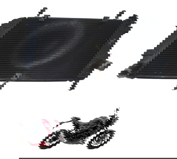 Radiador Suzuki Gsx-s 750 18-23 Original
