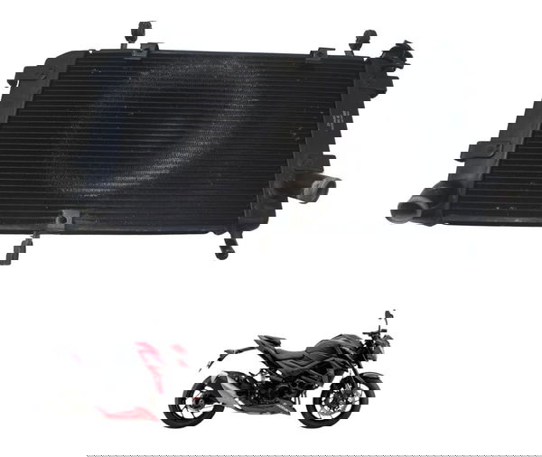 Radiador Suzuki Gsx-s 750 18-23 Original
