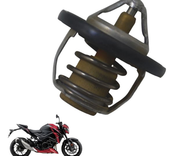 Válvula Termostática Suzuki Gsx-s 750 18-23 Original