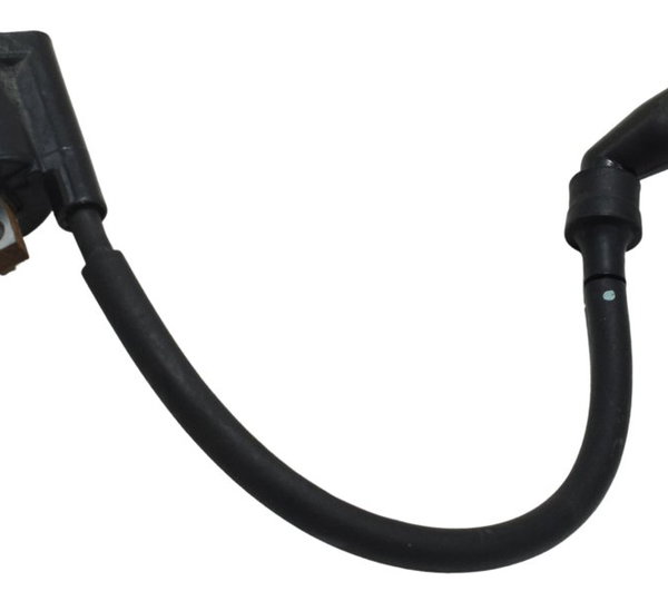 Bobina Ignição Yamaha Xtz 250 Lander 19-23 Original