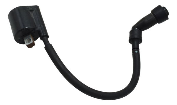 Bobina Ignição Yamaha Xtz 250 Lander 19-23 Original