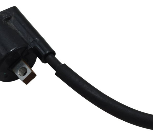 Bobina Ignição Yamaha Xtz 250 Lander 19-23 Original