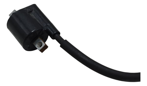 Bobina Ignição Yamaha Xtz 250 Lander 19-23 Original