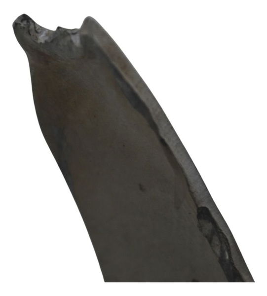 Capa Cabeçote Esq C/ Avaria Bmw R 1200 Gs Adv 04-07 Original