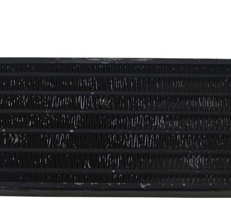 Radiador Óleo Bmw R 1200 Gs Adv 04-07 Original