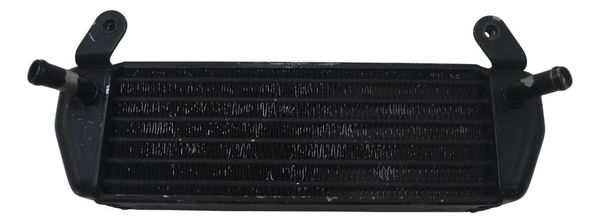 Radiador Óleo Bmw R 1200 Gs Adv 04-07 Original