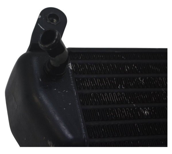 Radiador Óleo Bmw R 1200 Gs Adv 04-07 Original