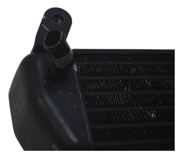 Radiador Óleo Bmw R 1200 Gs Adv 04-07 Original