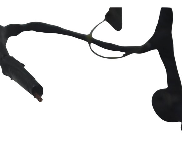 Chicote Lanterna Tras S/plug Bmw R 1200 Gs Adv 04-07 Origina